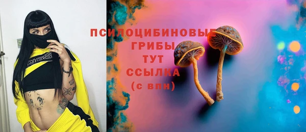 дмт Алексин