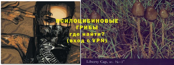 дмт Алексин
