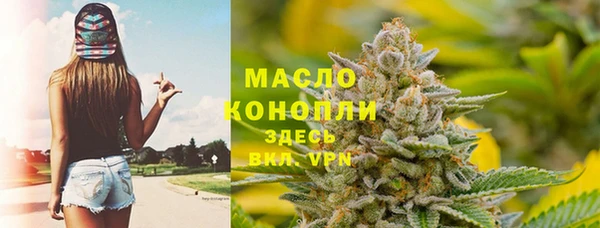дмт Алексин