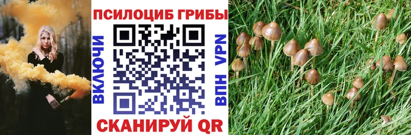 сайты даркнета какой сайт  Учалы  ссылка на мегу онион  Псилоцибиновые грибы прущие грибы  купить наркотики цена 