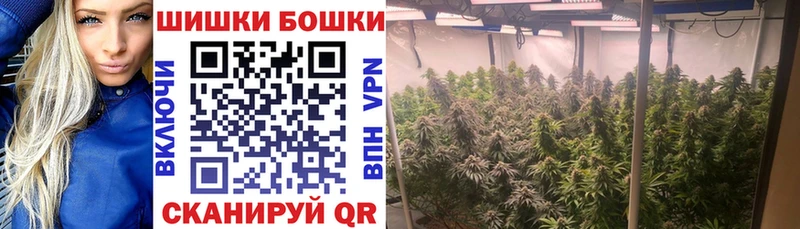 darknet наркотические препараты  Учалы  МАРИХУАНА планчик 